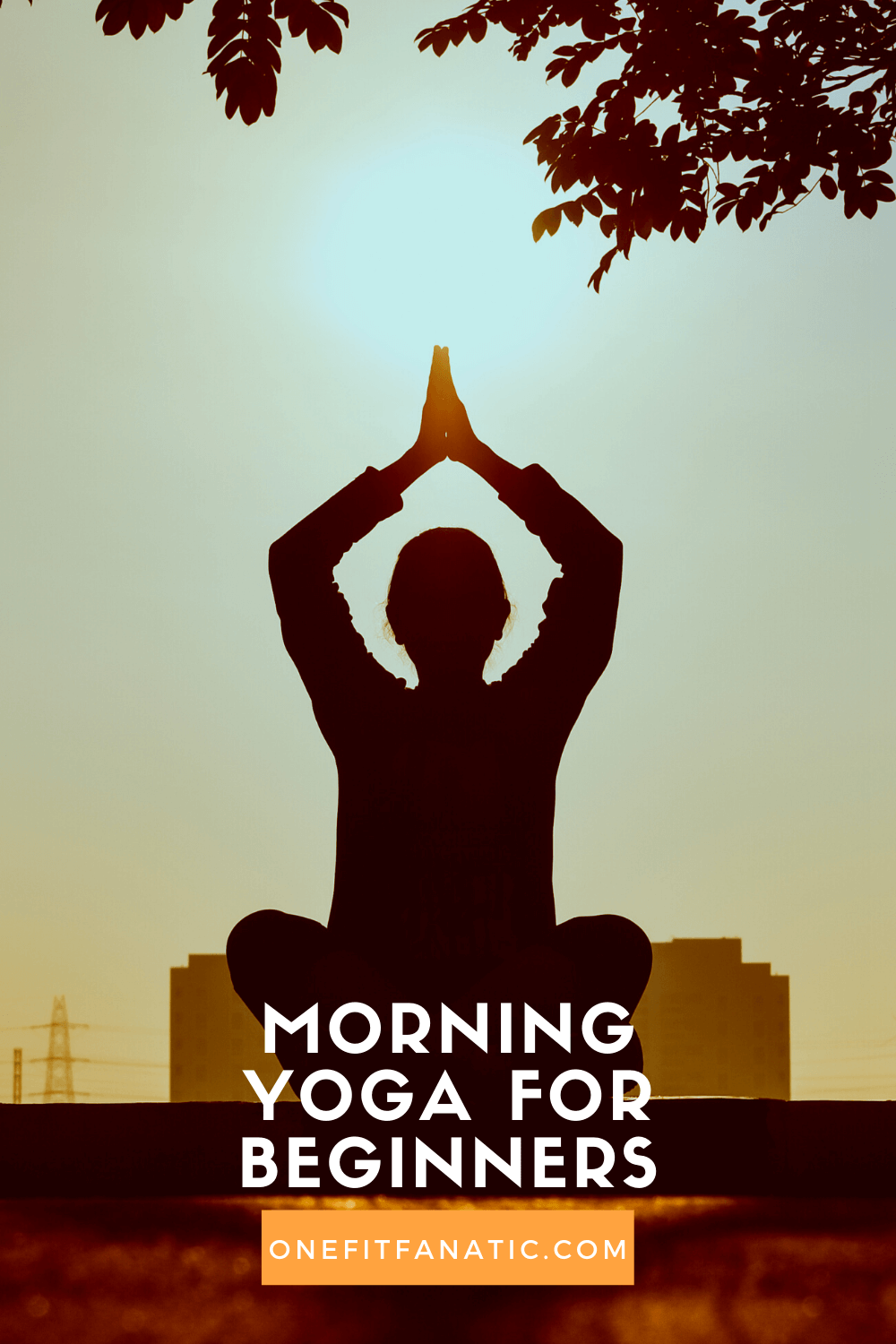 Morning Yoga for Beginners pin